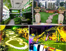 Petgrow 4 ft x 13 ft turf creates a lush look without mowing