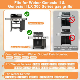 PETKAO Genesis II GS4 griddle ripple side for searing steaks and burgers