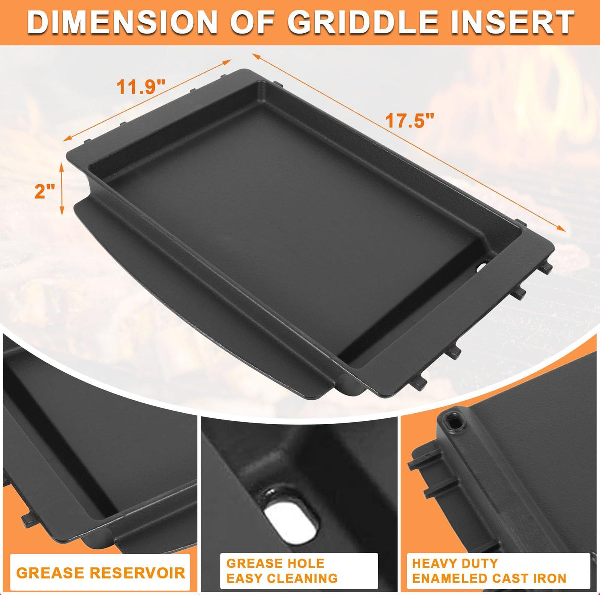 PETKAO griddle insert with GS4 Spirit II for versatile cooking