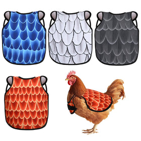 PetKnows blue back saddle protects feathers while moving freely.