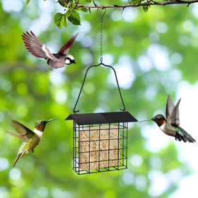 PETKNOWS Water-repellent Roof protects suet from rain, preserving freshness.