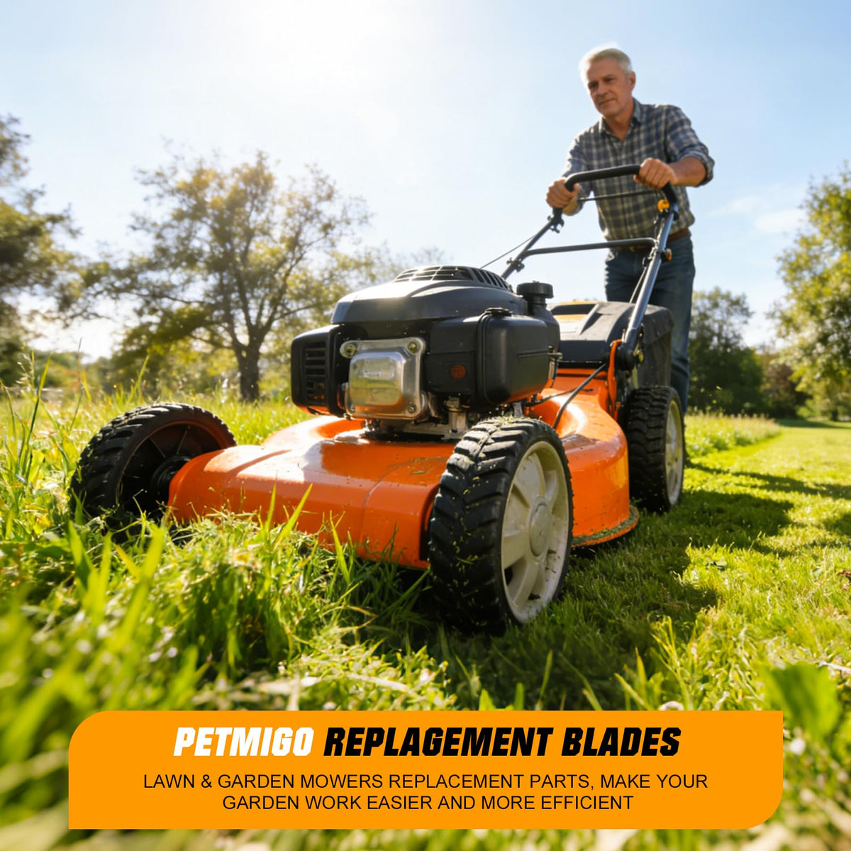 PetMigo installation readiness checklist for safe mounting