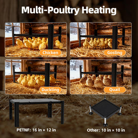 PETNF large heat plate reduces crowding in brooders.