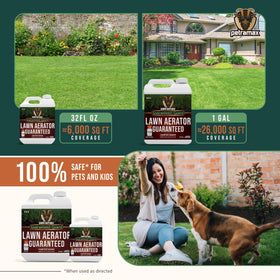 Petramax healthy green lawn after treatment.
