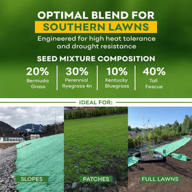 Petramax ReadyRoll southern-lawn setup enabling patch repair