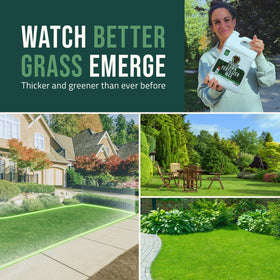 Lush lawn color and texture after PetraMax treatment.