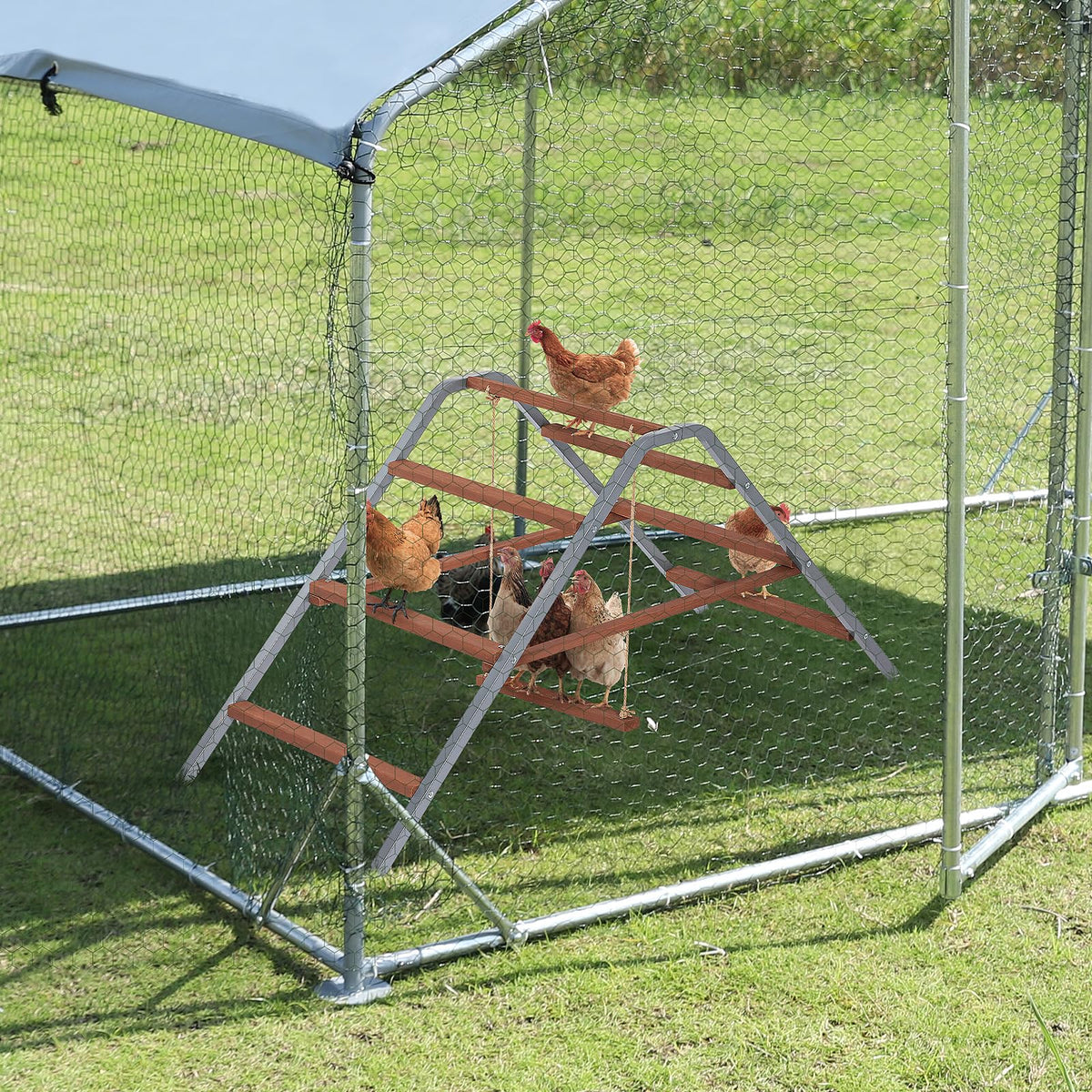 Petsfit backyard coop setup fits indoor or outdoor spaces.