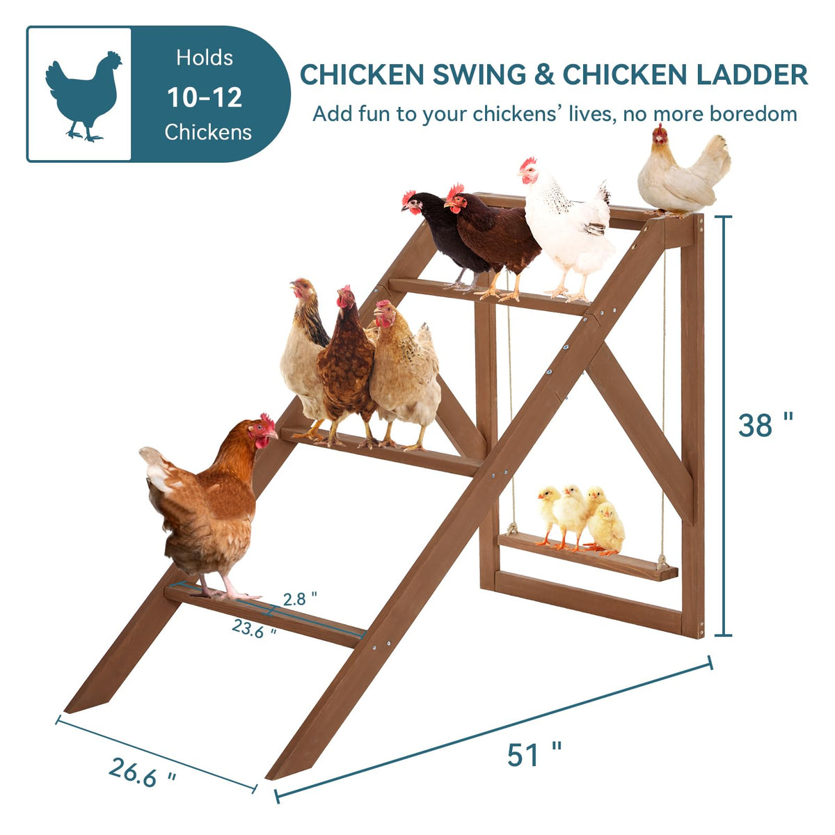 Petsfit four-perch setup provides ample roosting space for a flock