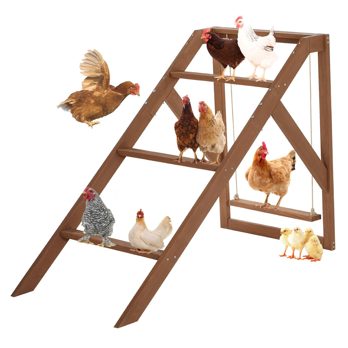 Petsfit chicken perch with swing for easy coop assembly and resting birds