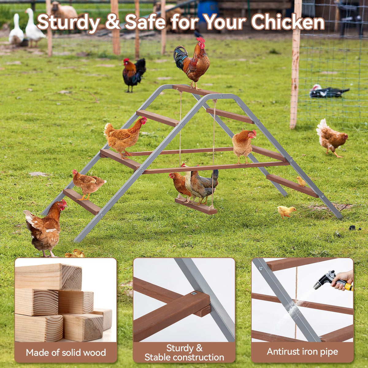 Petsfit chicken perch with swing adds playful movement and enrichment.