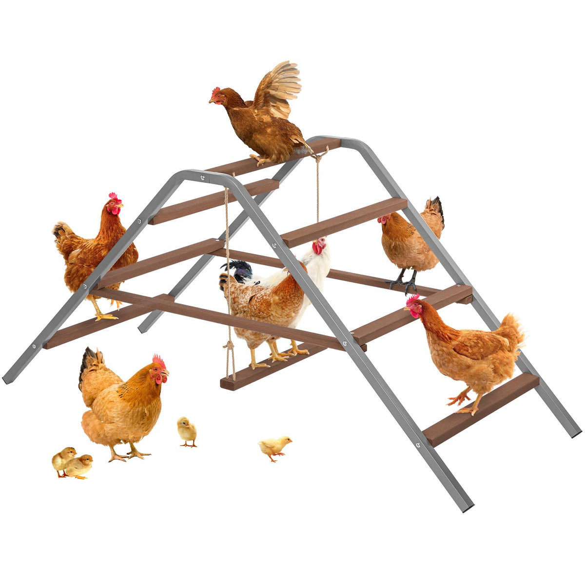Petsfit chicken roosting bar in solid wood provides a sturdy perch for your flock.