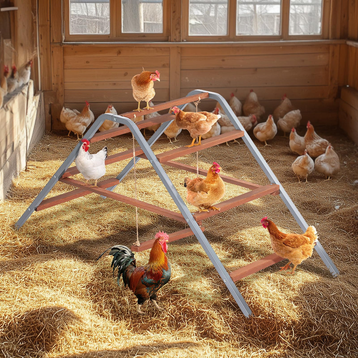 Petsfit easy-clean surface simplifies post-use maintenance.