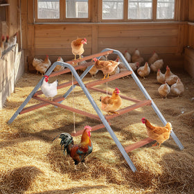 Petsfit easy-clean surface simplifies post-use maintenance.