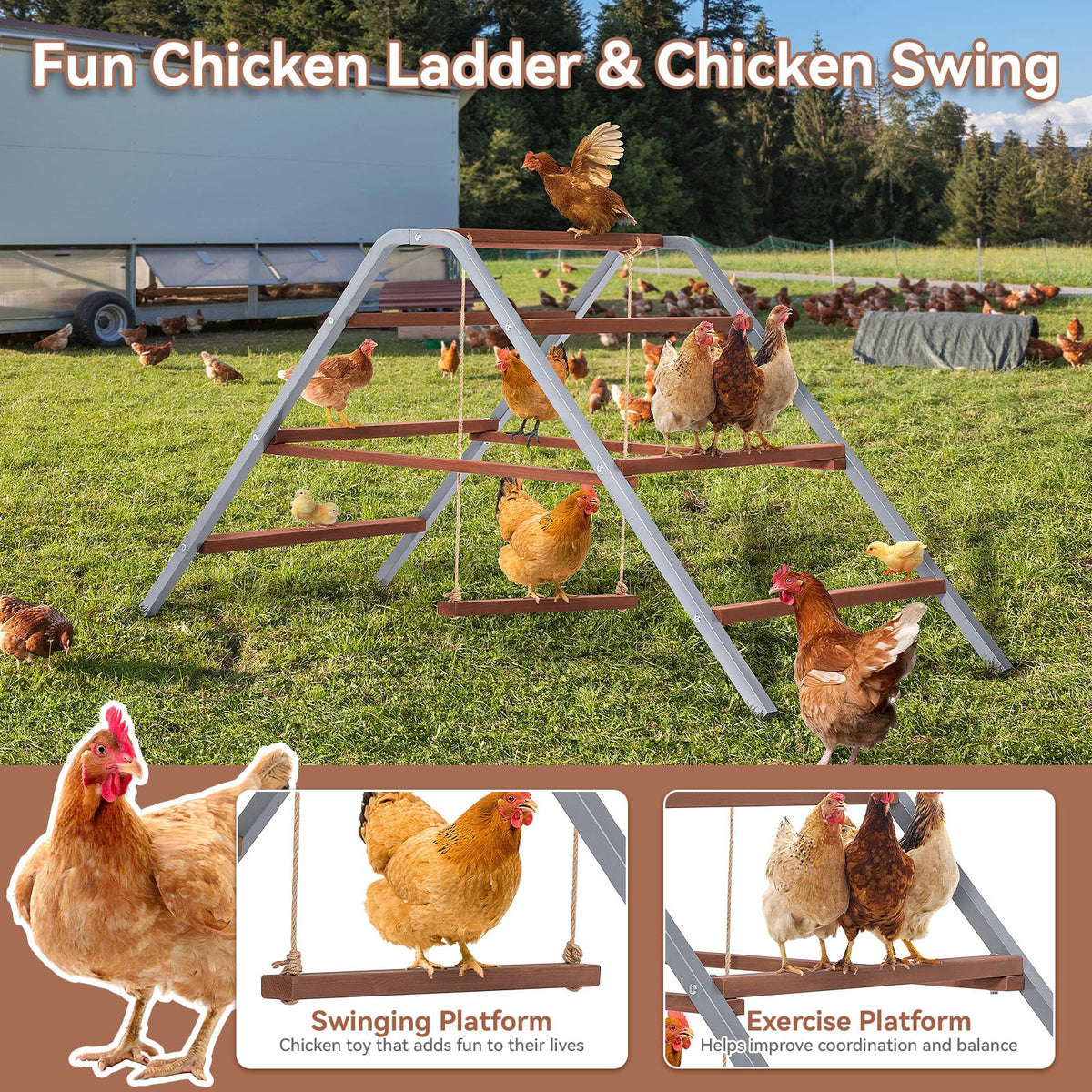 Petsfit multi-chicken perch keeps multiple birds balanced in the coop.