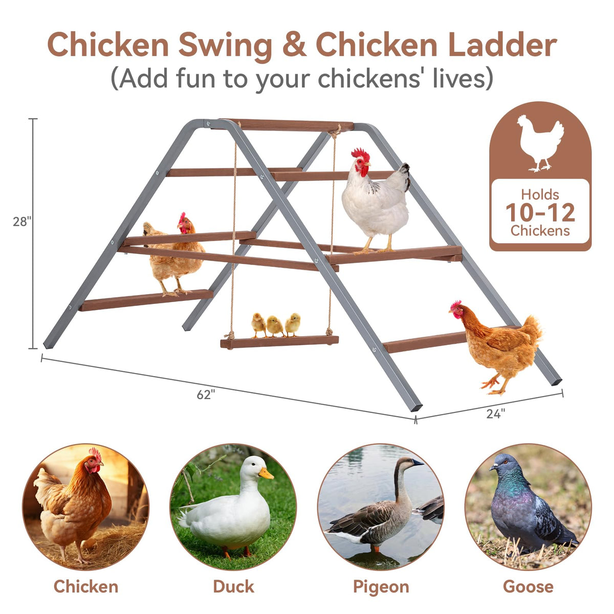 Petsfit rustproof iron design perch stays durable in all weather.