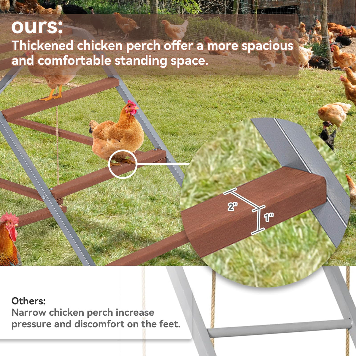 Petsfit wooden chicken perch supports comfortable, natural roosting for several birds.