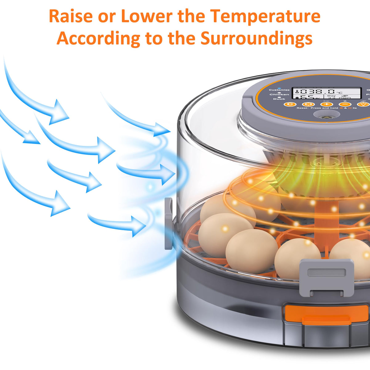 PETSFOND egg incubator temperature adjustment display ensuring stable hatch conditions.
