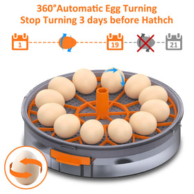 PETSFOND egg incubator shows automatic turning mechanism guaranteeing even heat distribution.