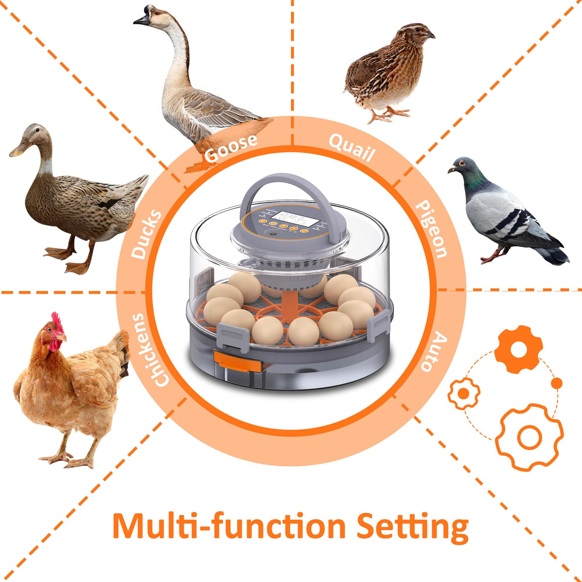 PETSFOND all-in-one incubator with full-process monitoring and minimal manual intervention.