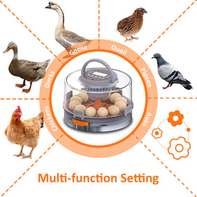PETSFOND all-in-one incubator with full-process monitoring and minimal manual intervention.