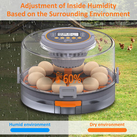 PETSFOND incubation chamber with humidity pump for reliable moisture control.