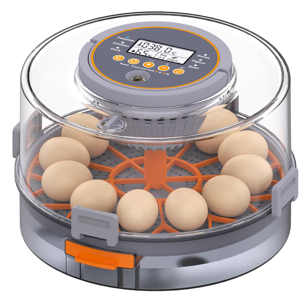 PETSFOND egg incubator interior with intelligent control panel for hands-off hatch planning.