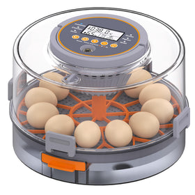 PETSFOND egg incubator interior with intelligent control panel for hands-off hatch planning.