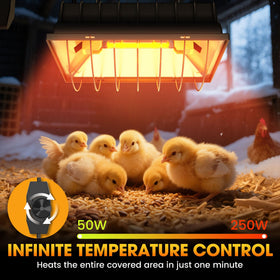 PETSOLON anti-scald mesh cover protecting chicks during use.
