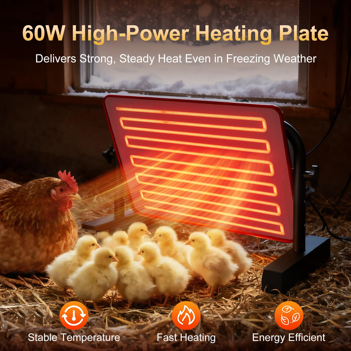 PETSOLON coverage image illustrating warmth for up to 30 chicks.