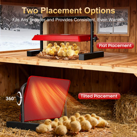PETSOLON detachable wall-mount option for space-saving placement.
