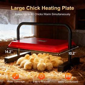 PETSOLON energy-saving 60W plate demonstrates efficient heating.
