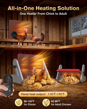 Petten heat plate three temperature levels for growing chicks