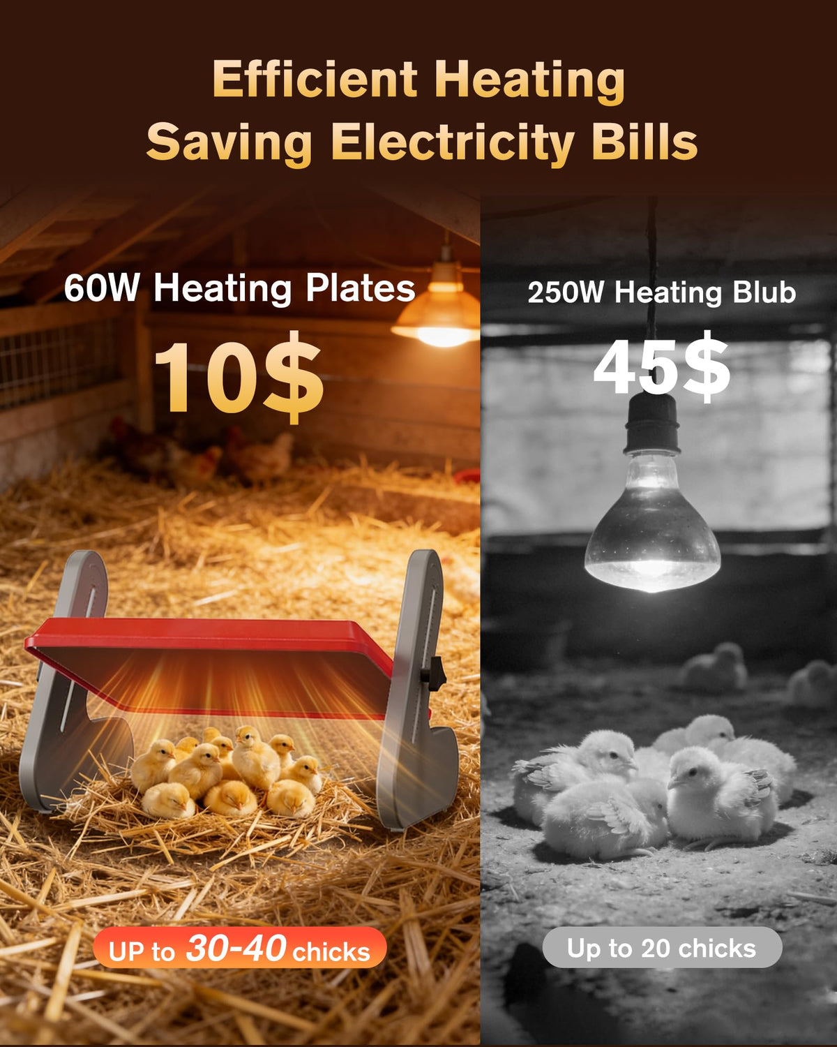 Petten heat plate wall-mount option saves coop space