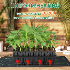 PETZOOKA greenhouse setup shows seedling heat mat in action.