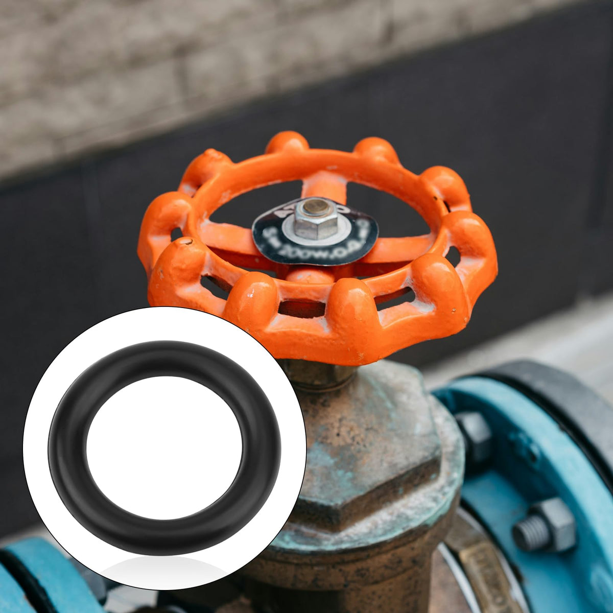 PEUTIER 192115 o-ring installation guide visual easy swap for pool pumps.