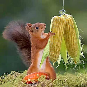 PFNRTH Squirrel Feeder spring action adds playful motion as the corn is nibbled.