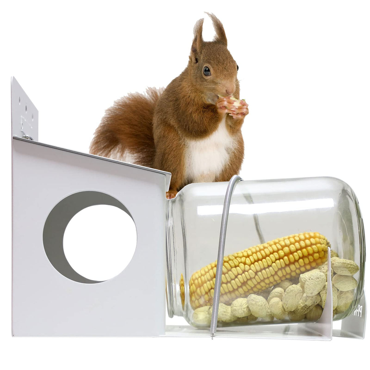 PFNRTH squirrel feeder glass jar close-up shows clear visibility for observing feeding squirrels