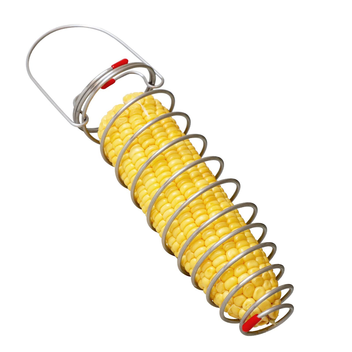 PFNRTH Squirrel Feeder on a tree attracting backyard wildlife for natural observation