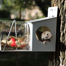PFNRTH squirrel feeder in use shows squirrels approaching from the side
