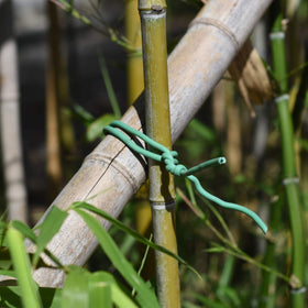 Discreet green PGarden-EZ tie enhancing garden neatness