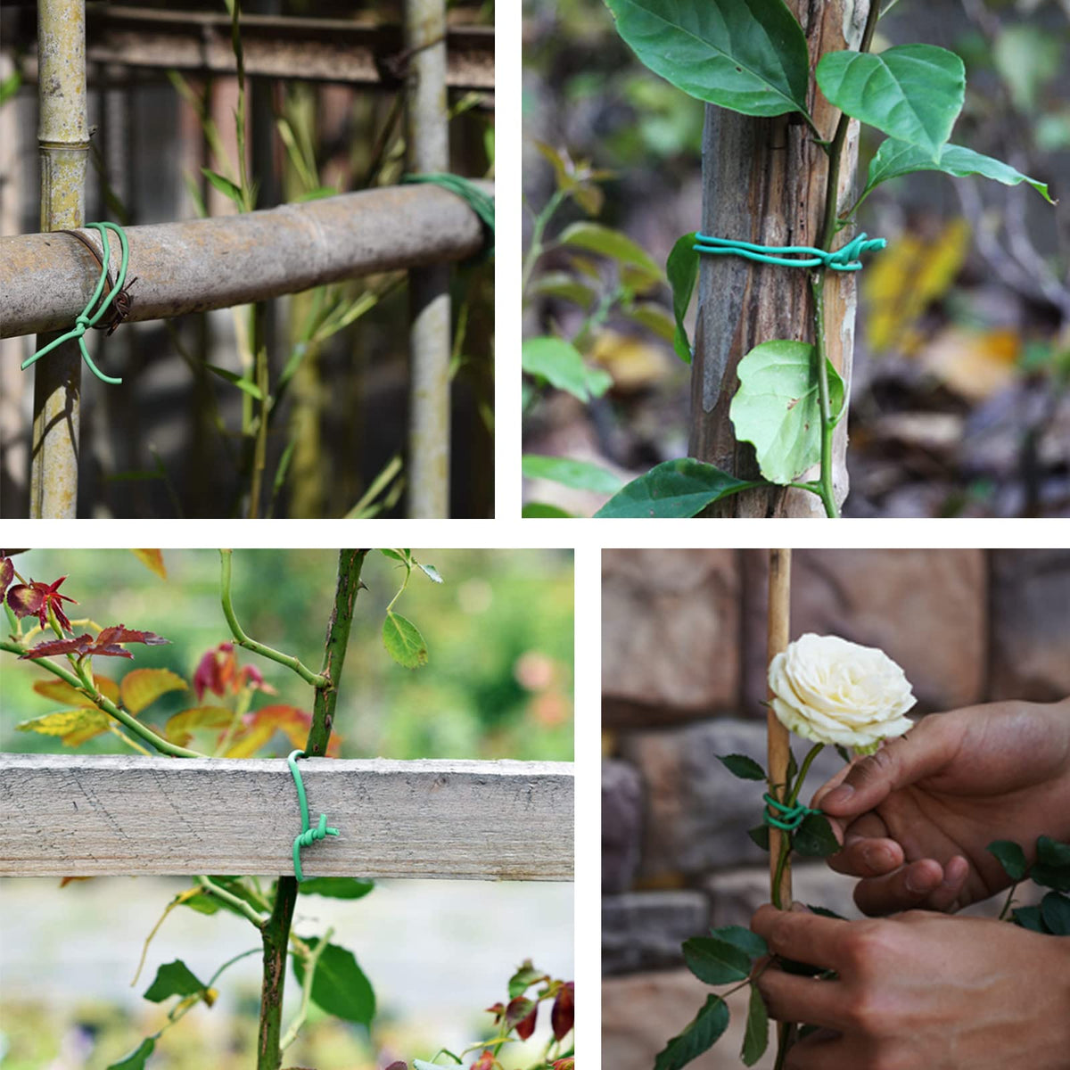 PGarden-EZ green soft twist tie blends with foliage for discreet staking.