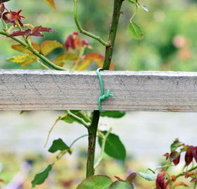 Close-up of soft TPR layer cushions stems
