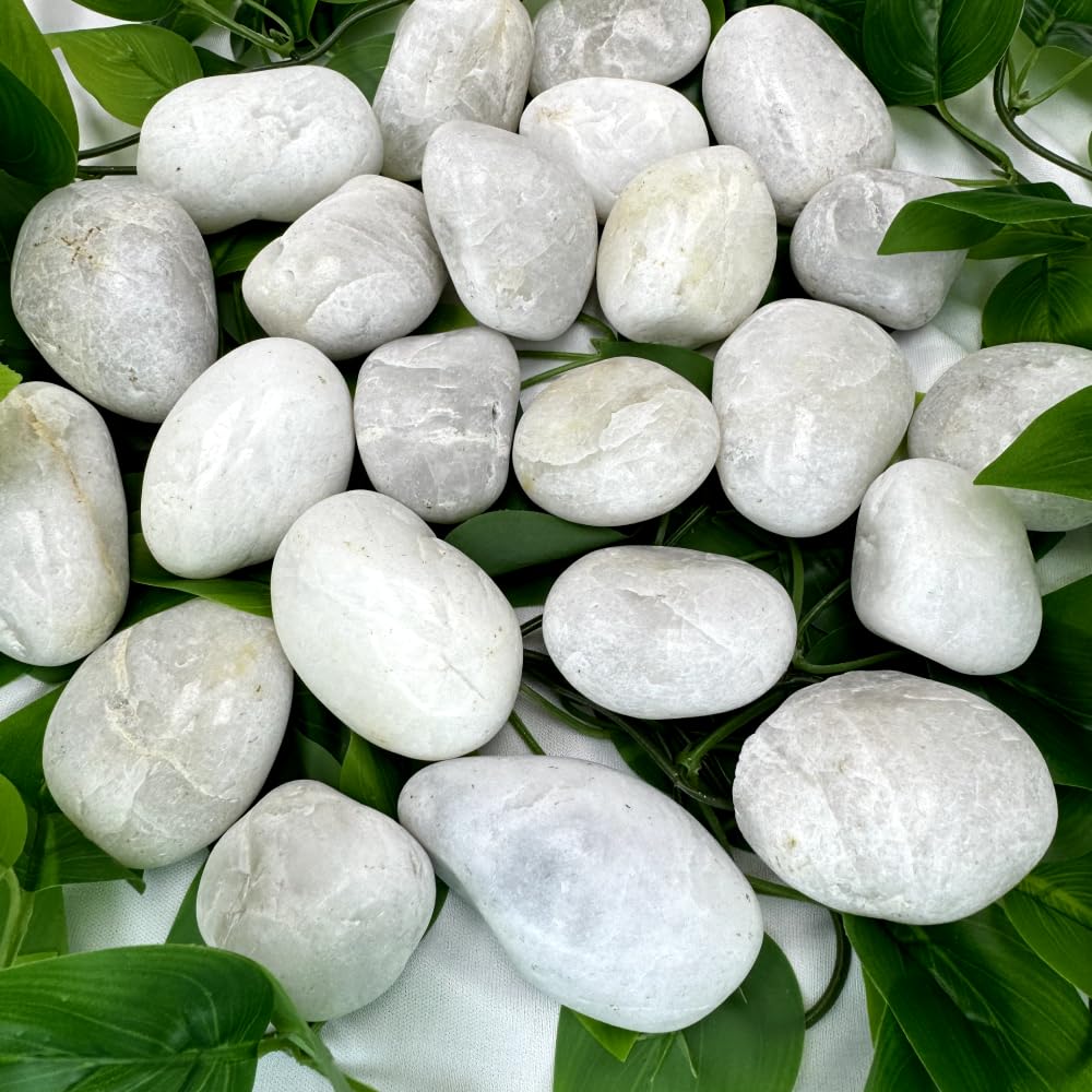 PGN White River Rocks 1-3 inch stones suitable for planters and terrariums