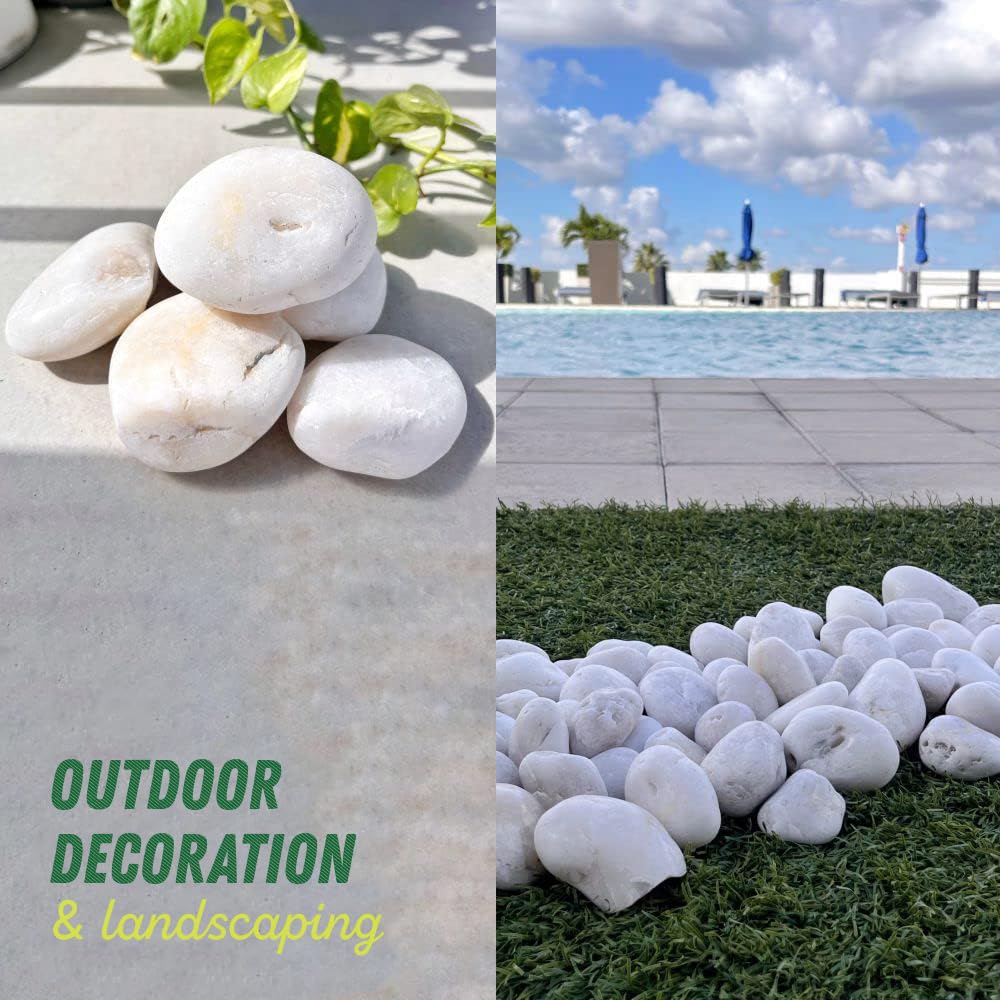 PGN White River Rocks used as aquarium decor with bright white stones