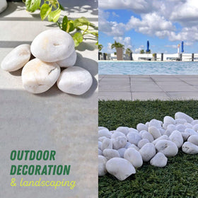 PGN White River Rocks used as aquarium decor with bright white stones