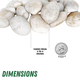 Planter decor using PGN White River Rocks for indoor or outdoor spaces