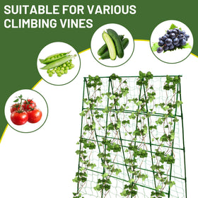 PHENEAHILL assembly is tool-free, making setup quick and easy for busy gardeners.