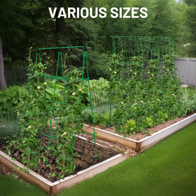 PHENEAHILL sturdy frame supports heavy plants without sagging during peak growing.
