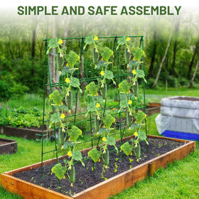 PHENEAHILL garden trellis promotes air circulation and cleaner harvests by keeping vines off soil.