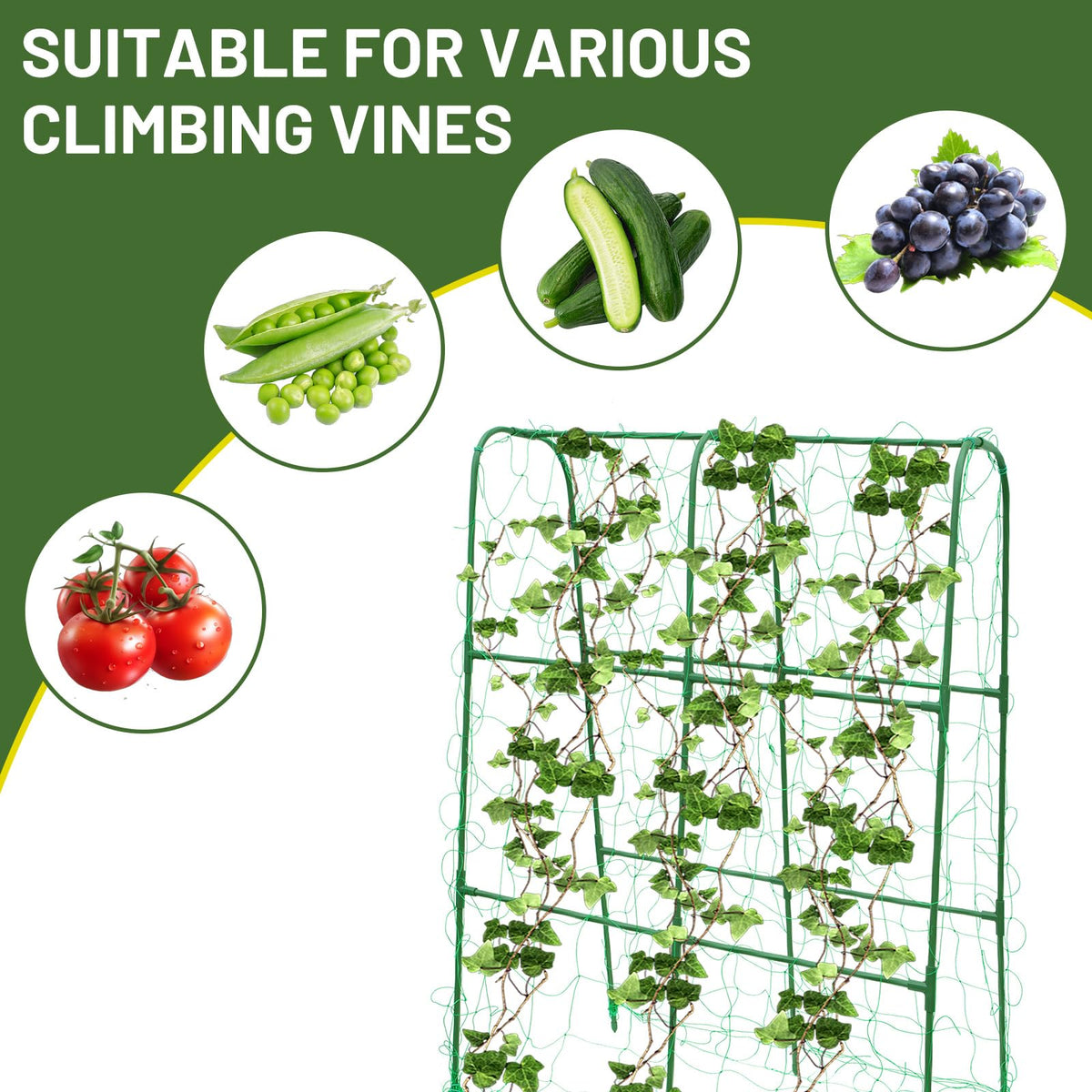 PHENEAHILL Trellis folds and installs without tools for easy setup and storage.